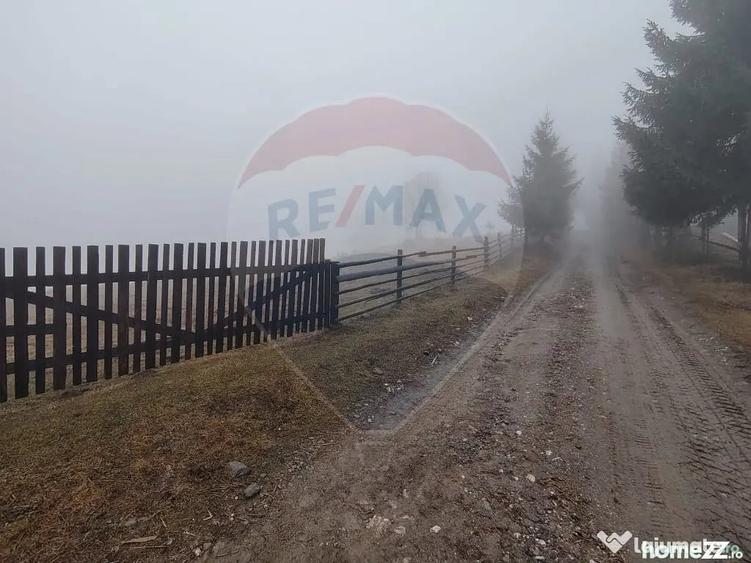 Teren de 26238 mp, în Dorna-Arini
