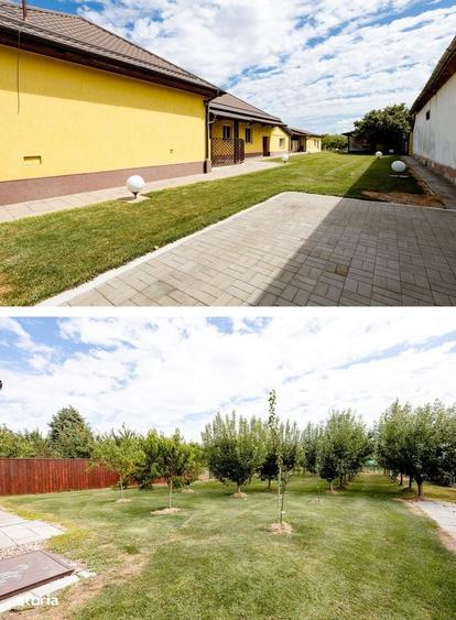 Casă cu 4 camere cu Teren 1464 Mp în Livada