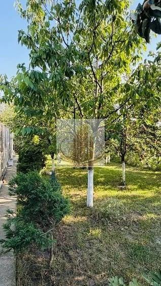 Casă cu Teren 425 Mp în Central