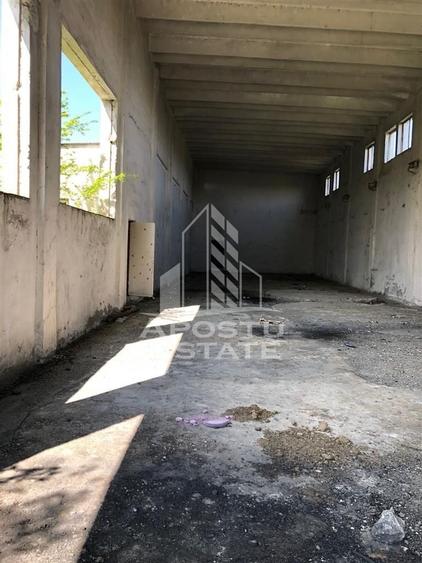 Teren Construcții intravilan de 8000 mp, în Vladimirescu