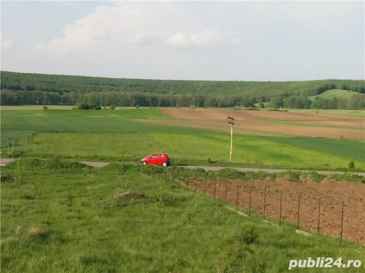 Casă cu 6 camere cu Teren 5000 Mp în Baldovinești
