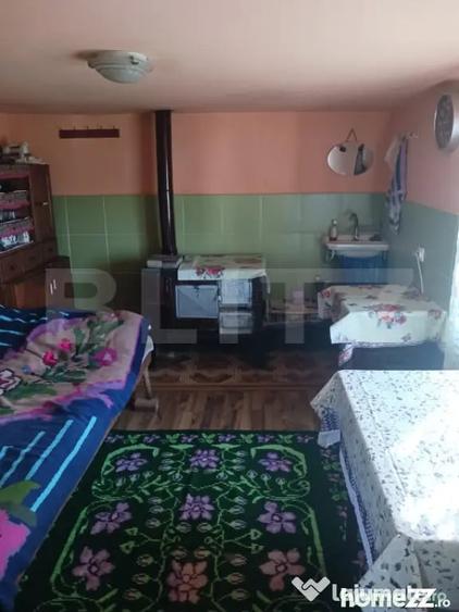 Casă cu 2 camere cu Teren 3800 Mp în Central