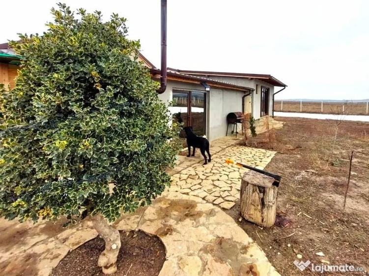 Casă cu 3 camere cu Teren 2000 Mp în Mihail Kogălniceanu