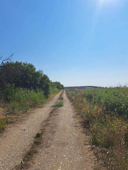 Teren agricol extravilan de 24298 mp, în Șagului