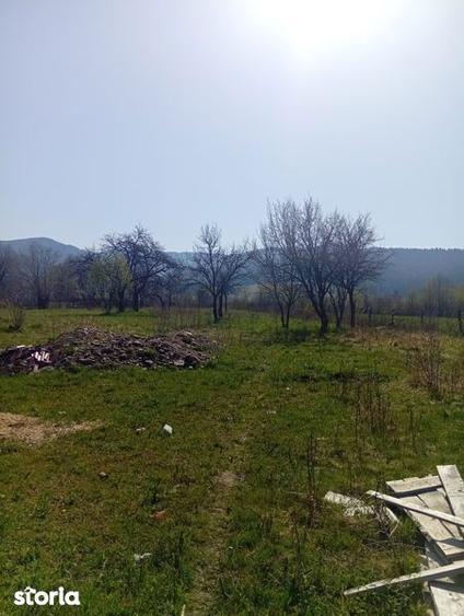 Teren de 1000 mp, în Central
