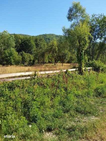 Teren de 6254 mp, în Fârliug