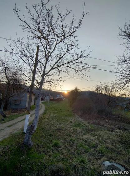 Teren de 3 mp, în Bogați