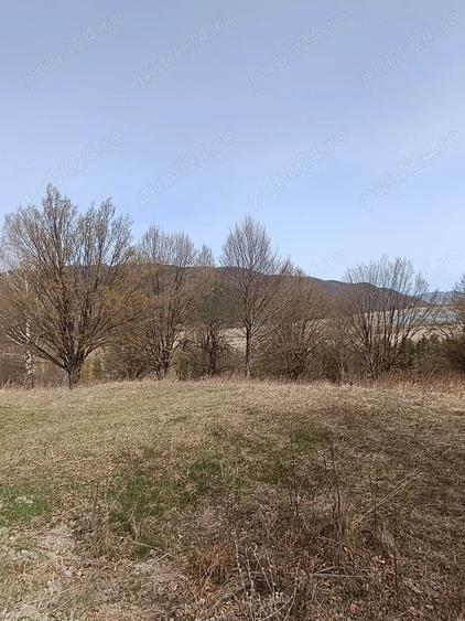 Teren Darmanesti, zona lac Valea Uzului, 3200 mp - 2