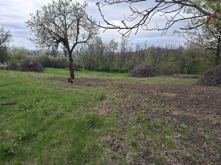 Teren de 6310 mp, în Curături