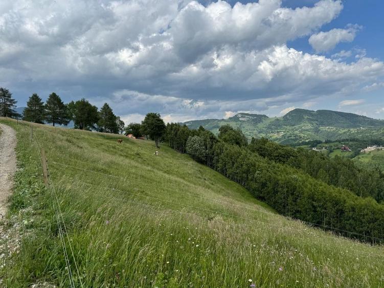 Teren Construcții extravilan de 5392 mp, în Peștera