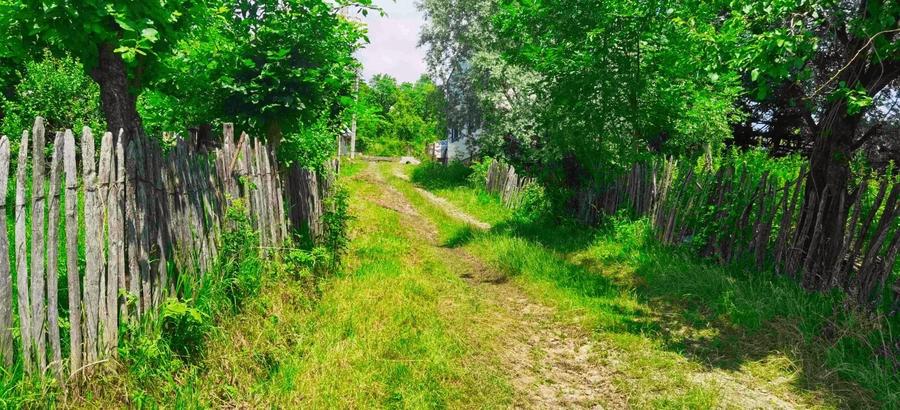 Teren Construcții intravilan de 9289 mp, în Breaza