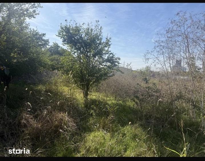 Teren de 500 mp, în Plantelor