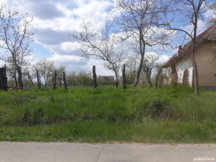 Teren de 1745 mp, în Ianova