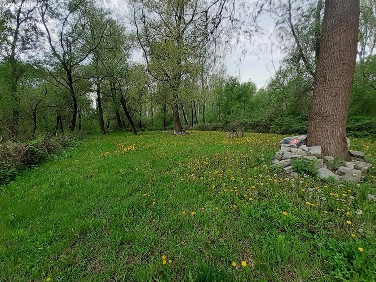 Teren de 750 mp, în Bujoreni