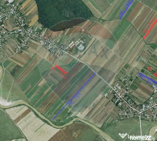 Teren de 4955 mp, în Nuci