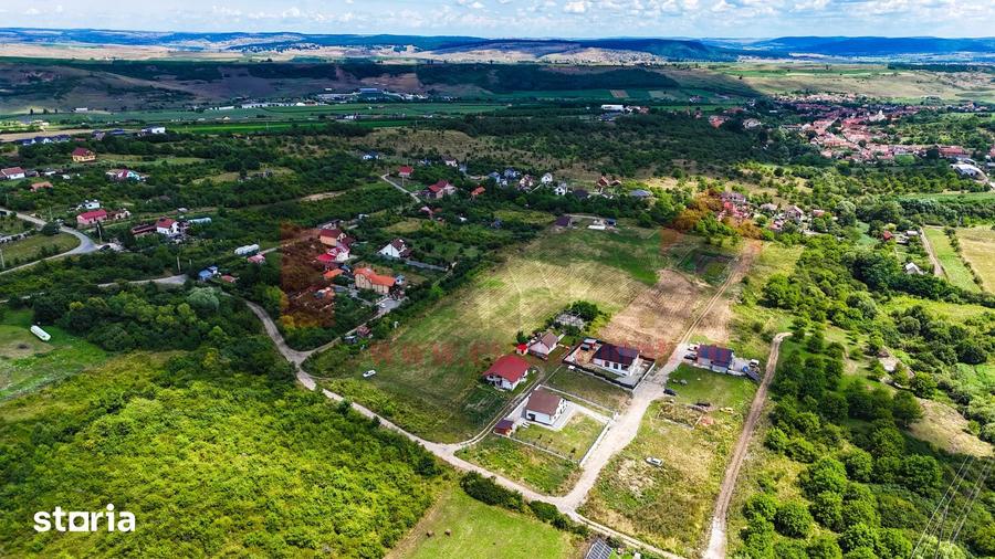 Teren 8.000 MP | Daia Noua | Intravilan | Oportunitate | SkyView - 2