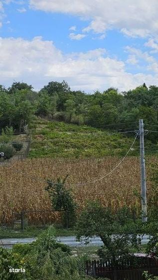 Teren de 2987 mp, în Topalu