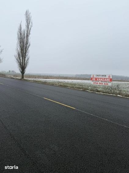 Teren de 30000 mp, în Săucești
