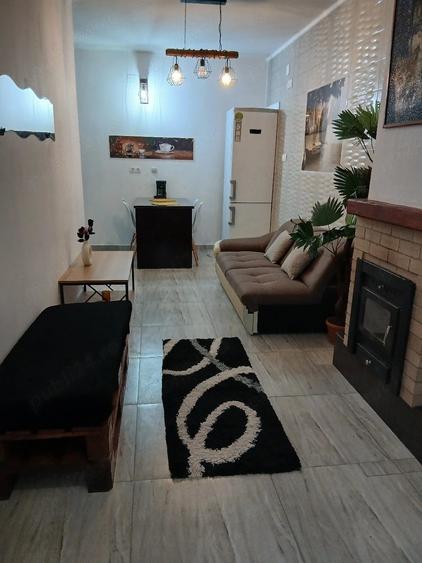 Apartament cu 2 camere decomandat în Amara
