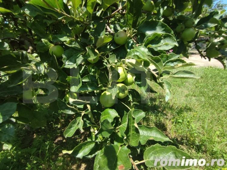 Casă cu 8 camere cu Teren 992 Mp în Cătămărești