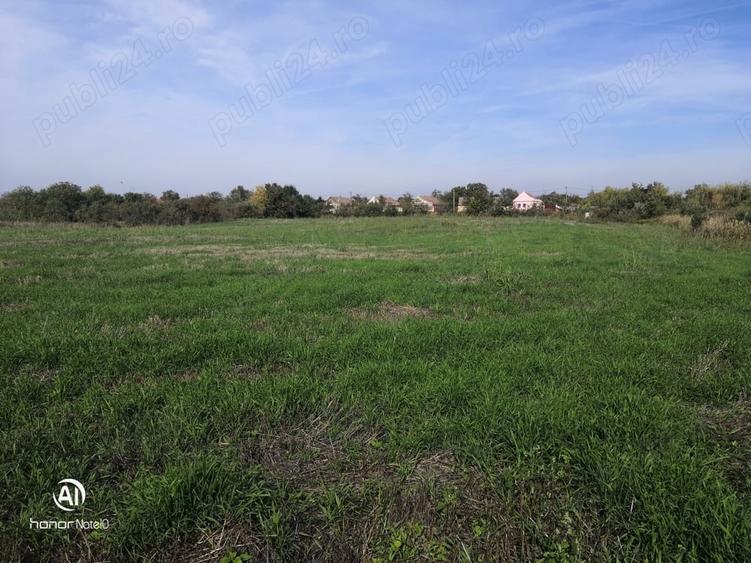 Teren de 13668 mp, în Dudeștii Vechi