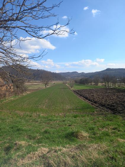 Teren Construcții intravilan de 3400 mp, în Trei Sate