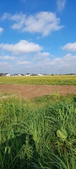 Teren Construcții intravilan de 500 mp, în Tărtășești