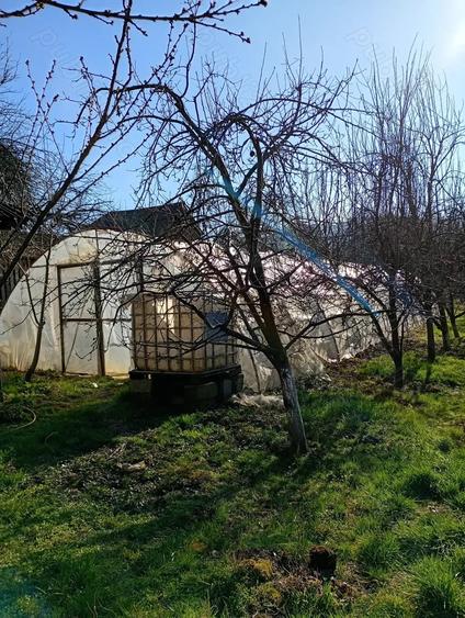 Casă cu Teren 1700 Mp în Central