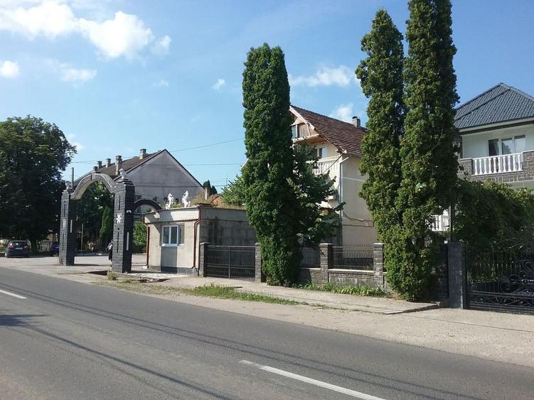 Casa si teren in Bixad - Satu Mare id 17552 - 7