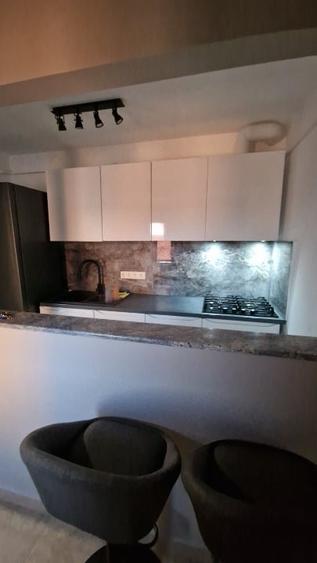 Apartament cu 2 camere semidecomandat, mobilat în Iosefin