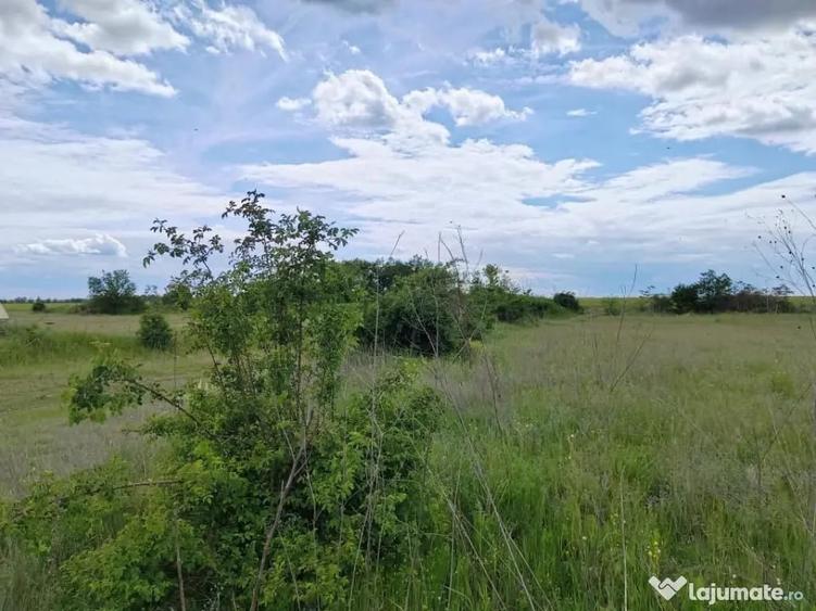 Teren în Ariceștii Rahtivani