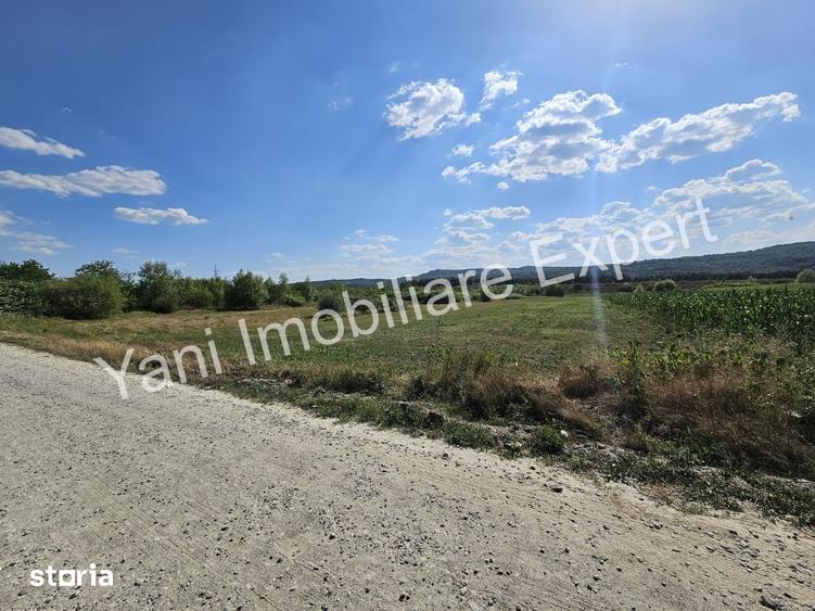 Teren de 8229 mp, în Băiculești