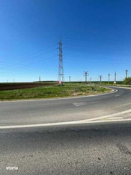 Teren intravilan 3100 mp , Rosiori de Vede , jud. Teleorman - 5