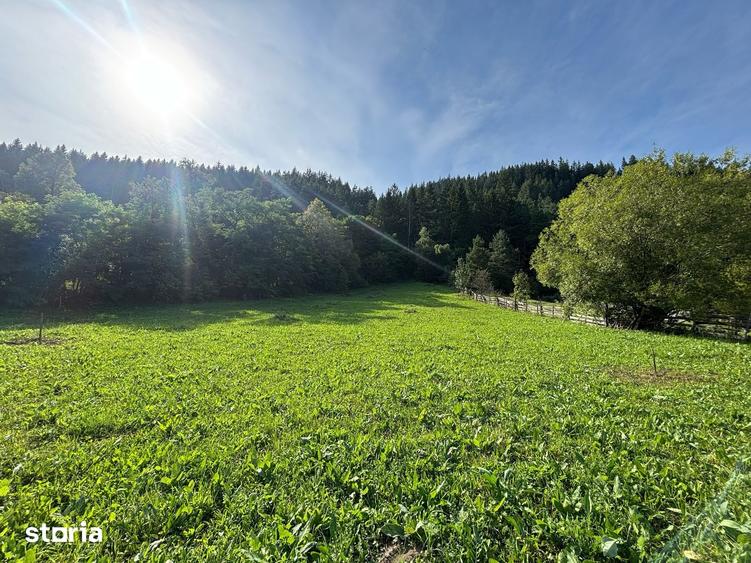 Teren de 7100 mp, în Grințieș