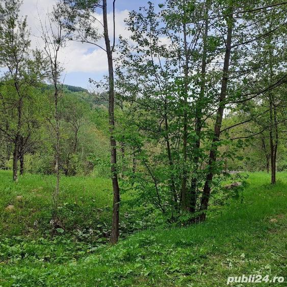 Teren de 5150 mp, în Șotrile