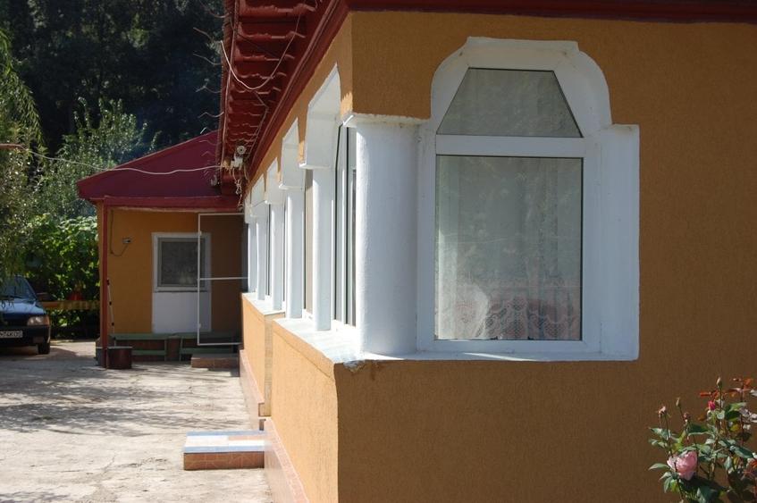 Padurea Comana - 2