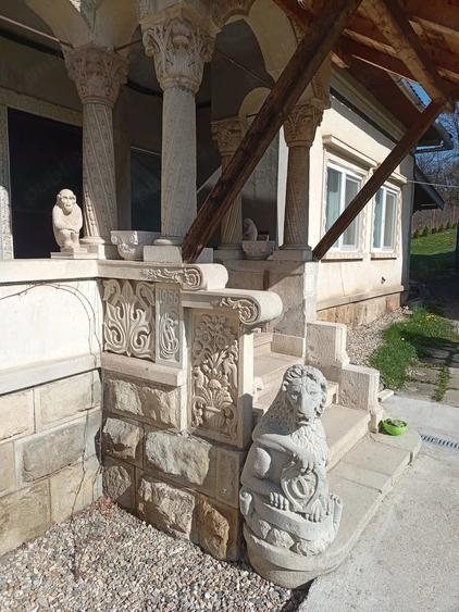 Casă cu Teren 3103 Mp în Central