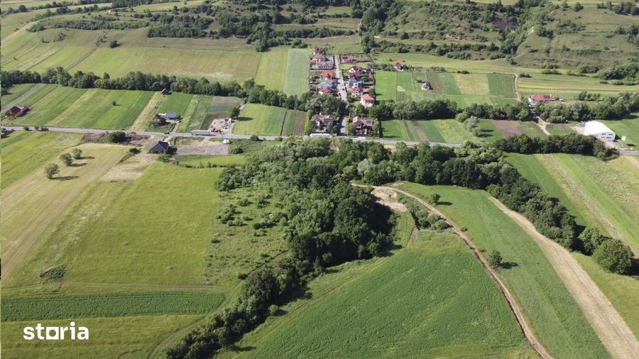 Teren de 10519 mp, în Brădești