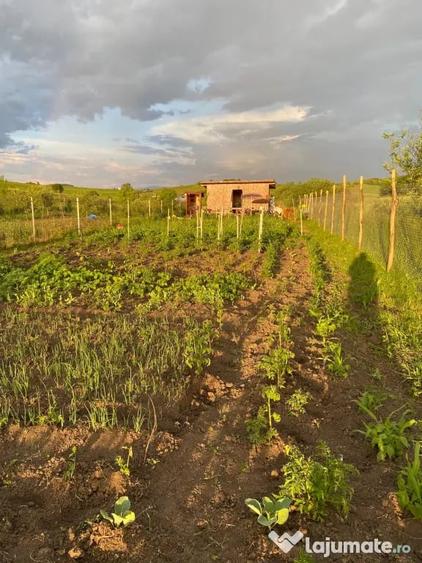 Teren de 1000 mp, în Sigmir