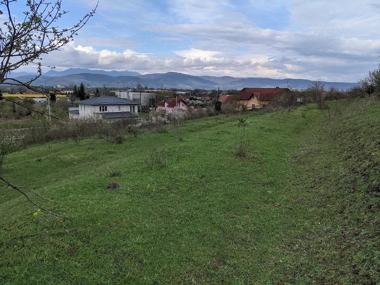 Teren de 10000 mp, în Central