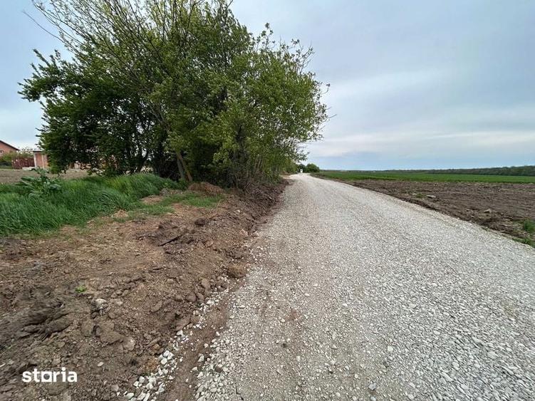 MOARA VLASIEI, LANGA LAC SI PADURE, 1340 mp ( 2 / 670 mp ), 65 E/mp. - 1