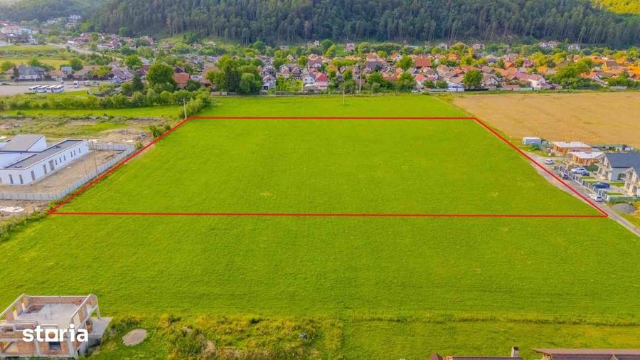 Teren de 12000 mp, în Sud