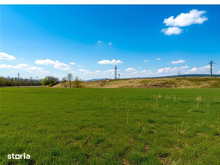 Teren de 12400 mp, în Pătrăuți