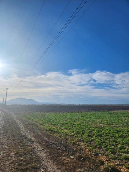 Teren agricol intravilan de 510 mp, în Hălchiu