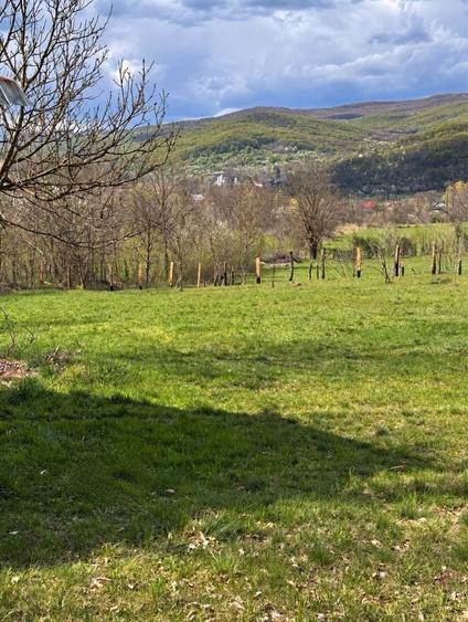 Teren de 1800 mp, în Tisău