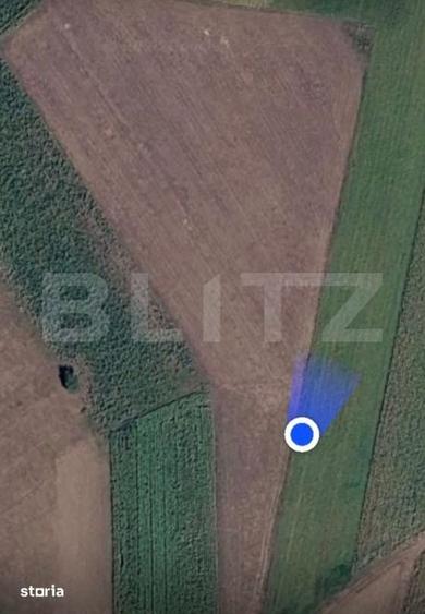 Teren de 3900 mp, în Burdujeni