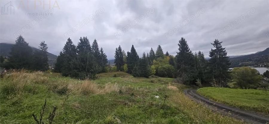 Teren de 4149 mp, în Colibița