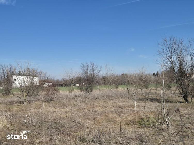 Teren de 1663 mp, în Ulmi