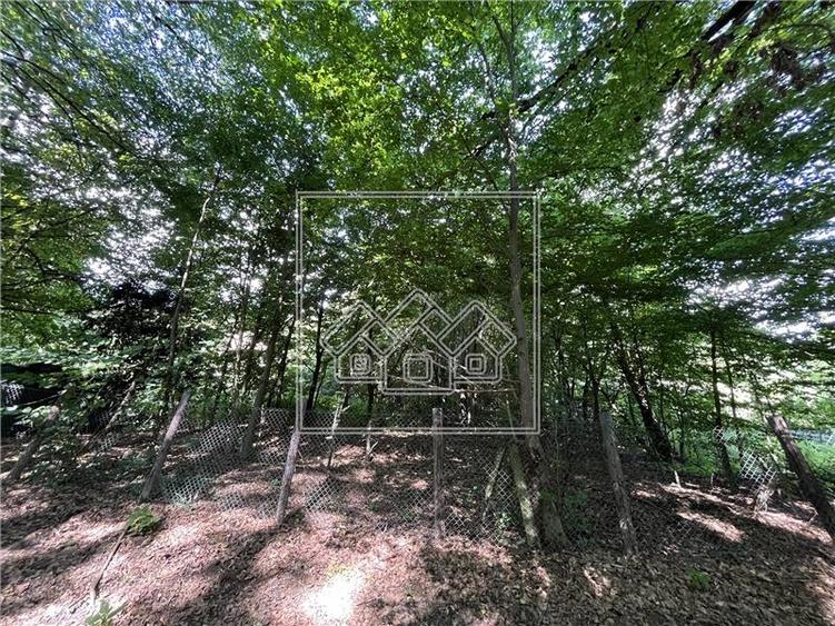 Teren agricol extravilan de 1500 mp, în Central