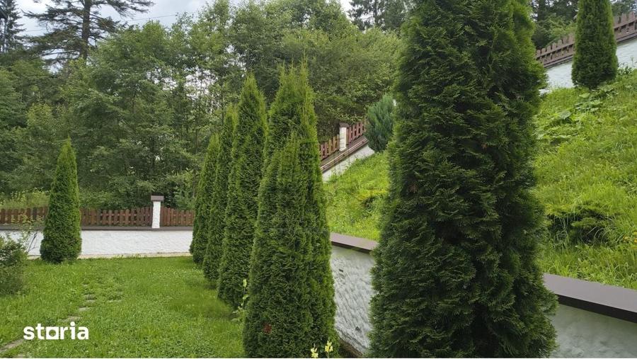 Apartament cu 3 camere în Clăbucet
